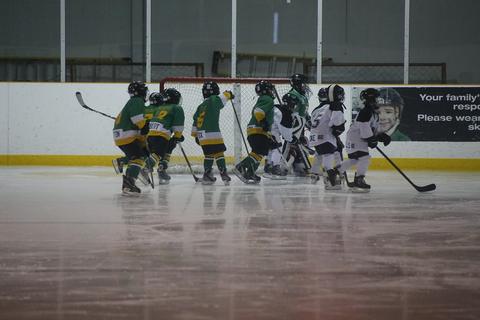 Young hockey players in green and white gathered at the boards