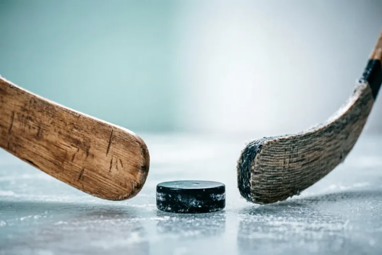 Hero photograph for the article “Composite vs. Wood Hockey Sticks: Cost and Feel”
